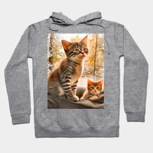 Cute Funny Kittens Beautiful Cats Hoodie